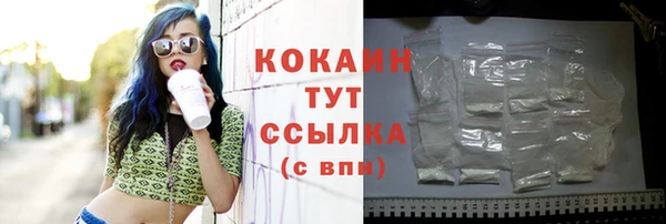 стаф Киреевск